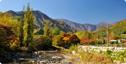 ������� �̹���