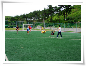 ǲ������