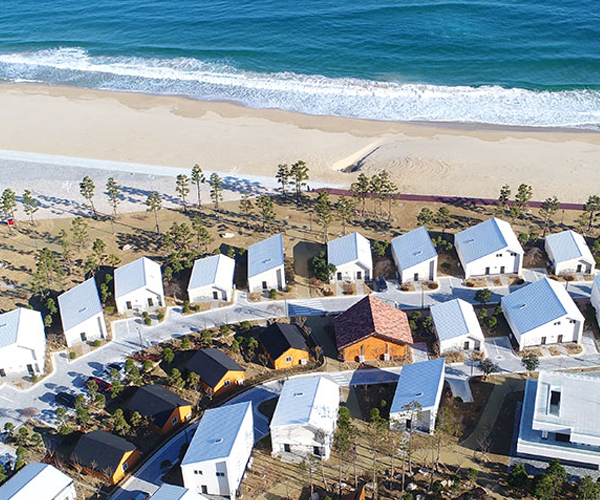 �������ķ�θ���Ʈ