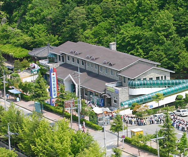 õ��Ȳ�ݹ��㵿��