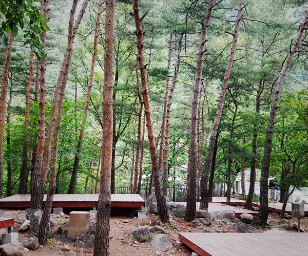 ������� ����ķ����