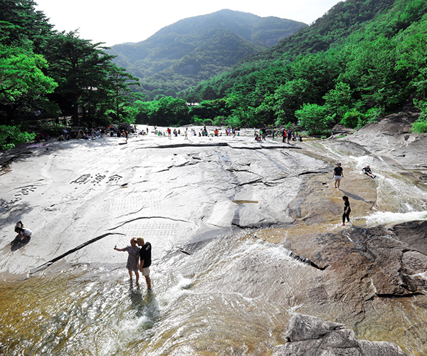 ������� �����ݼ�