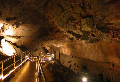 õ��õ������ �̹���